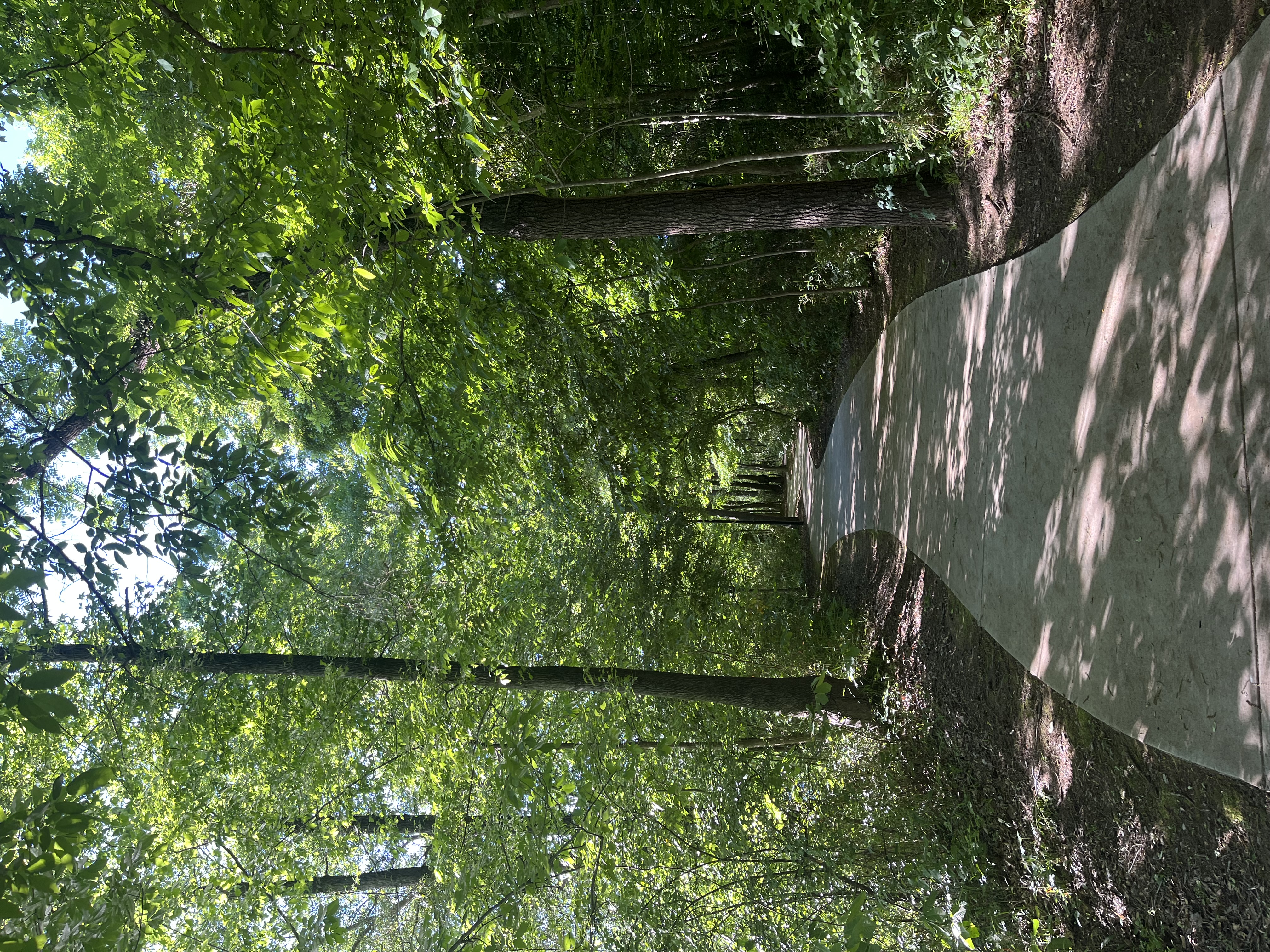 Cayce Riverwalk