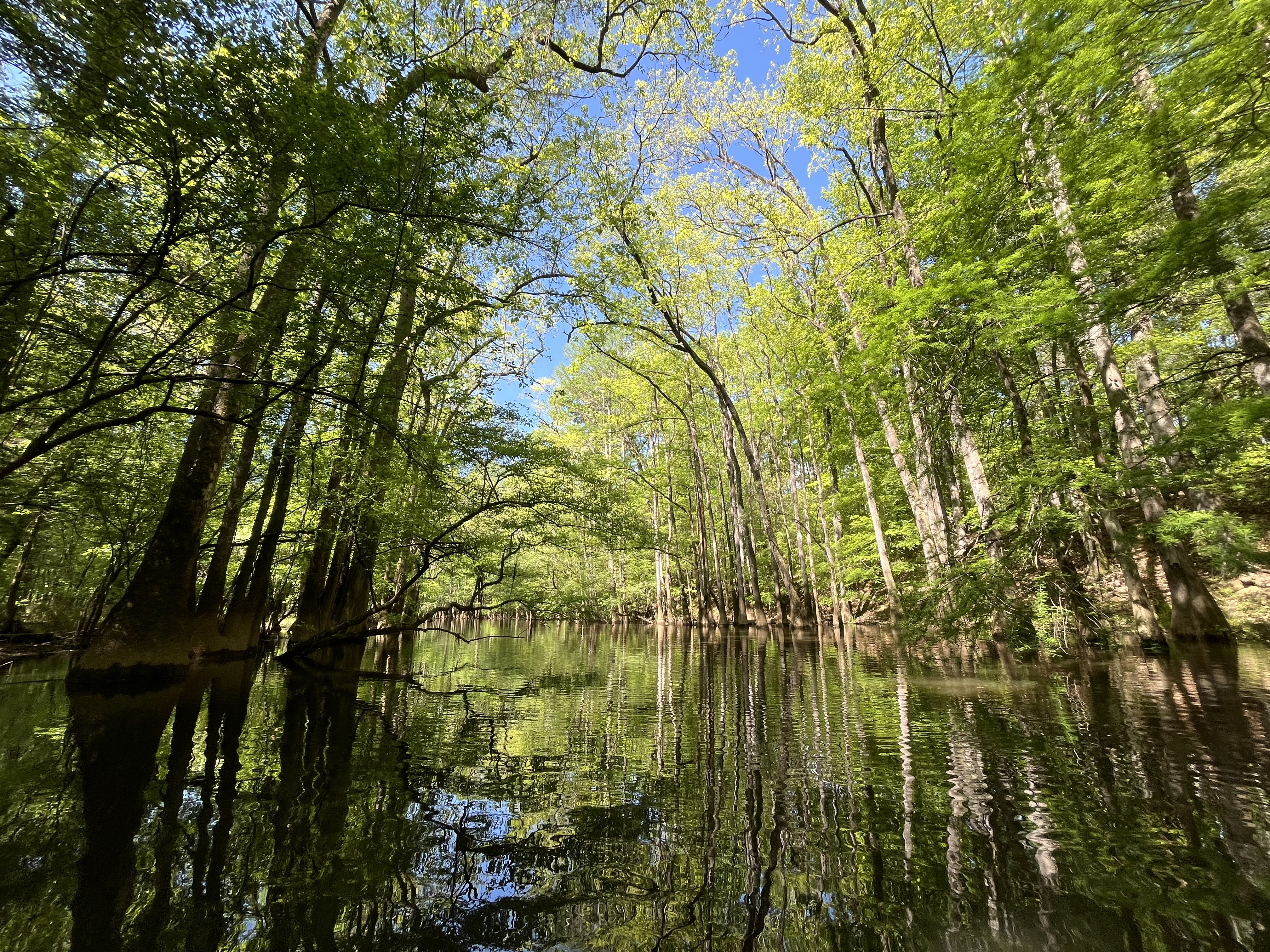 Kayaking at Dreher Island State Park
