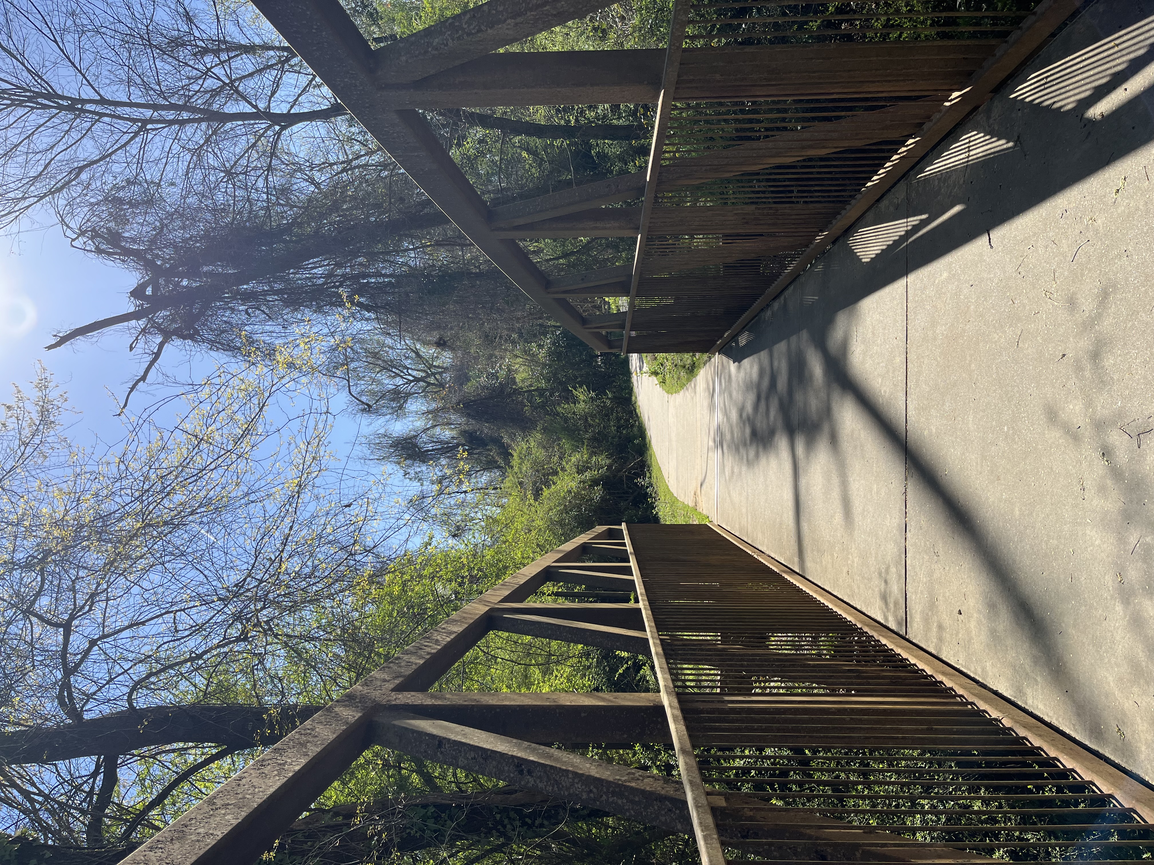 Timmerman trail