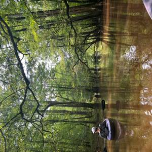 Congaree National Park