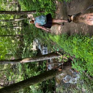Table Rock State Park